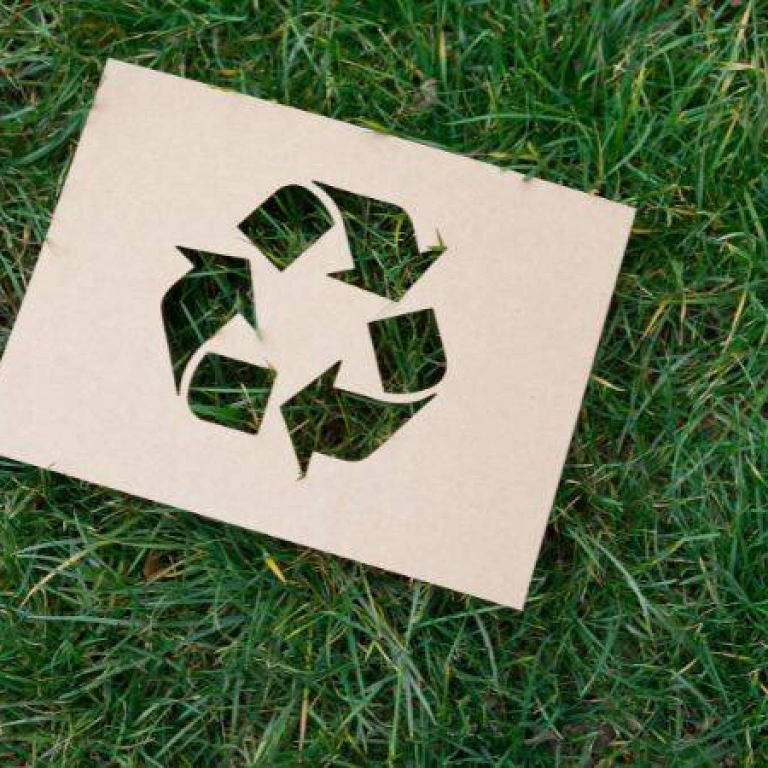 Kampanie edukacyjne na rzecz recyklingu – jakie cele i jakie efekty?